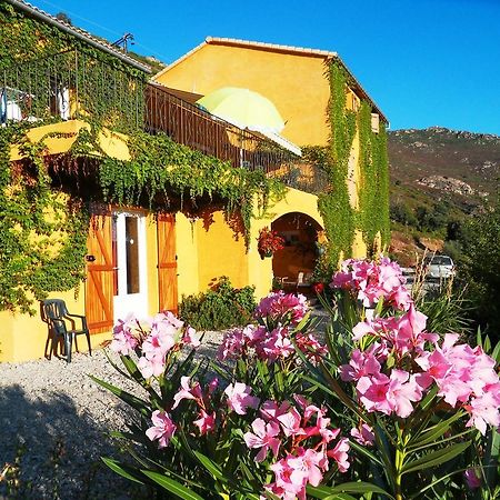 A Pianella Hotel Castirla Buitenkant foto