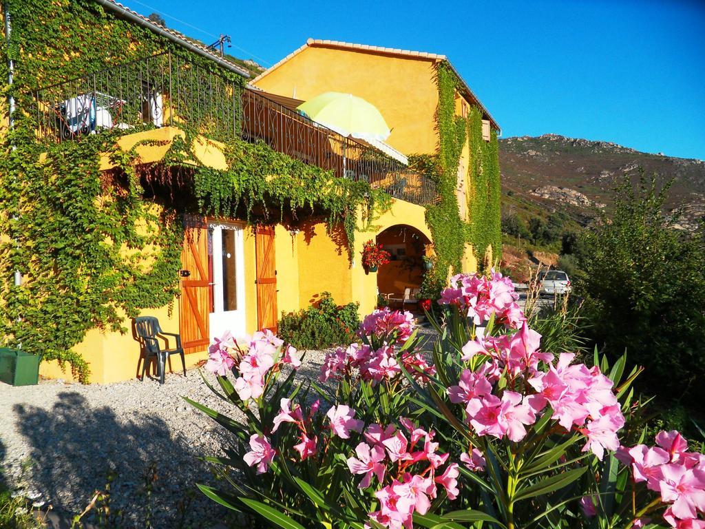A Pianella Hotel Castirla Buitenkant foto