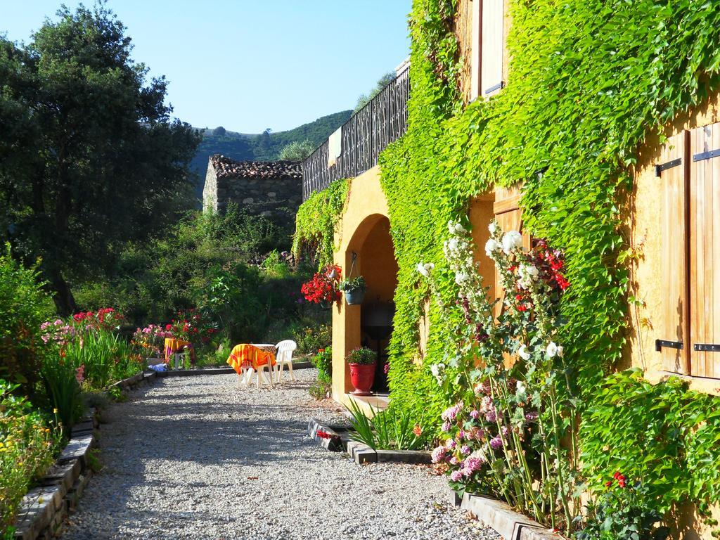 A Pianella Hotel Castirla Buitenkant foto