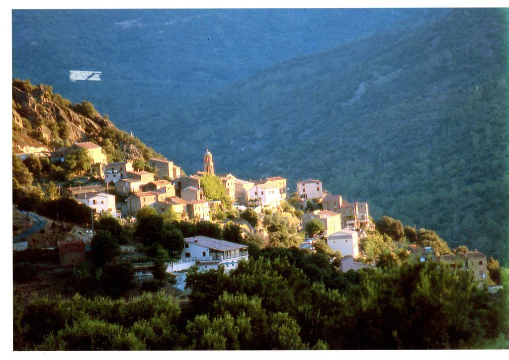 A Pianella Hotel Castirla Buitenkant foto